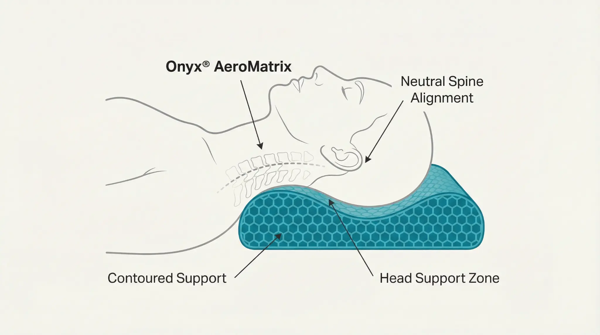 Side-view diagram of the contour pillow cradling the head at a spine-neutral angle.